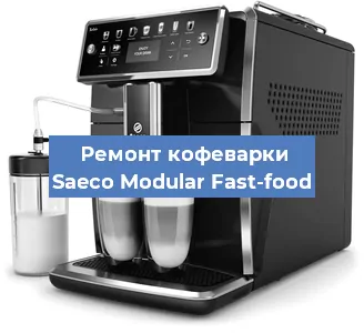 Чистка кофемашины Saeco Modular Fast-food от кофейных масел в Перми